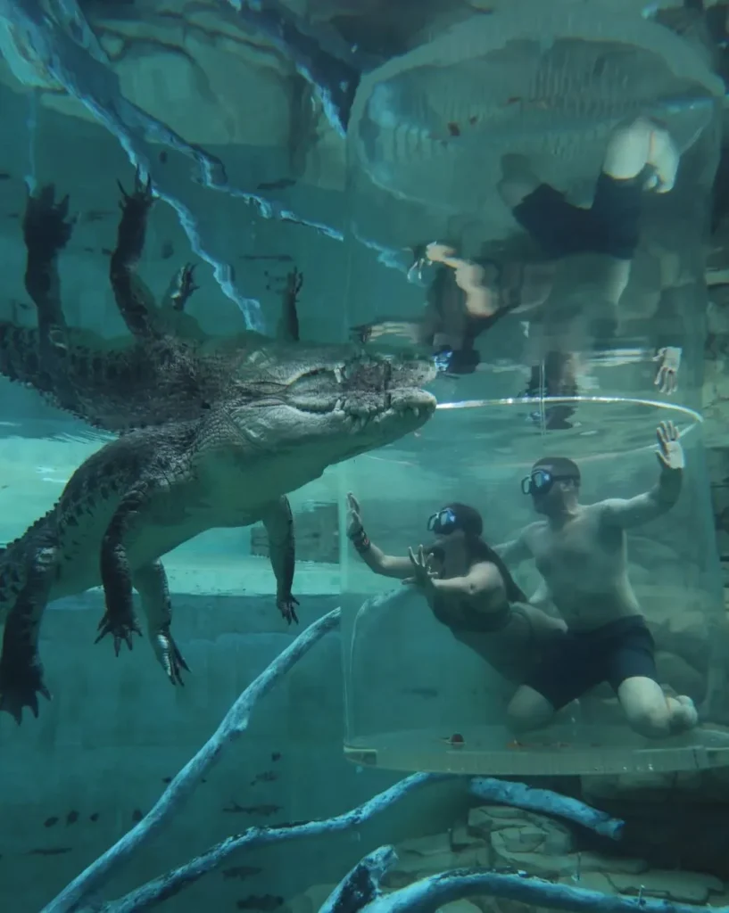 Crocosaurus Cove