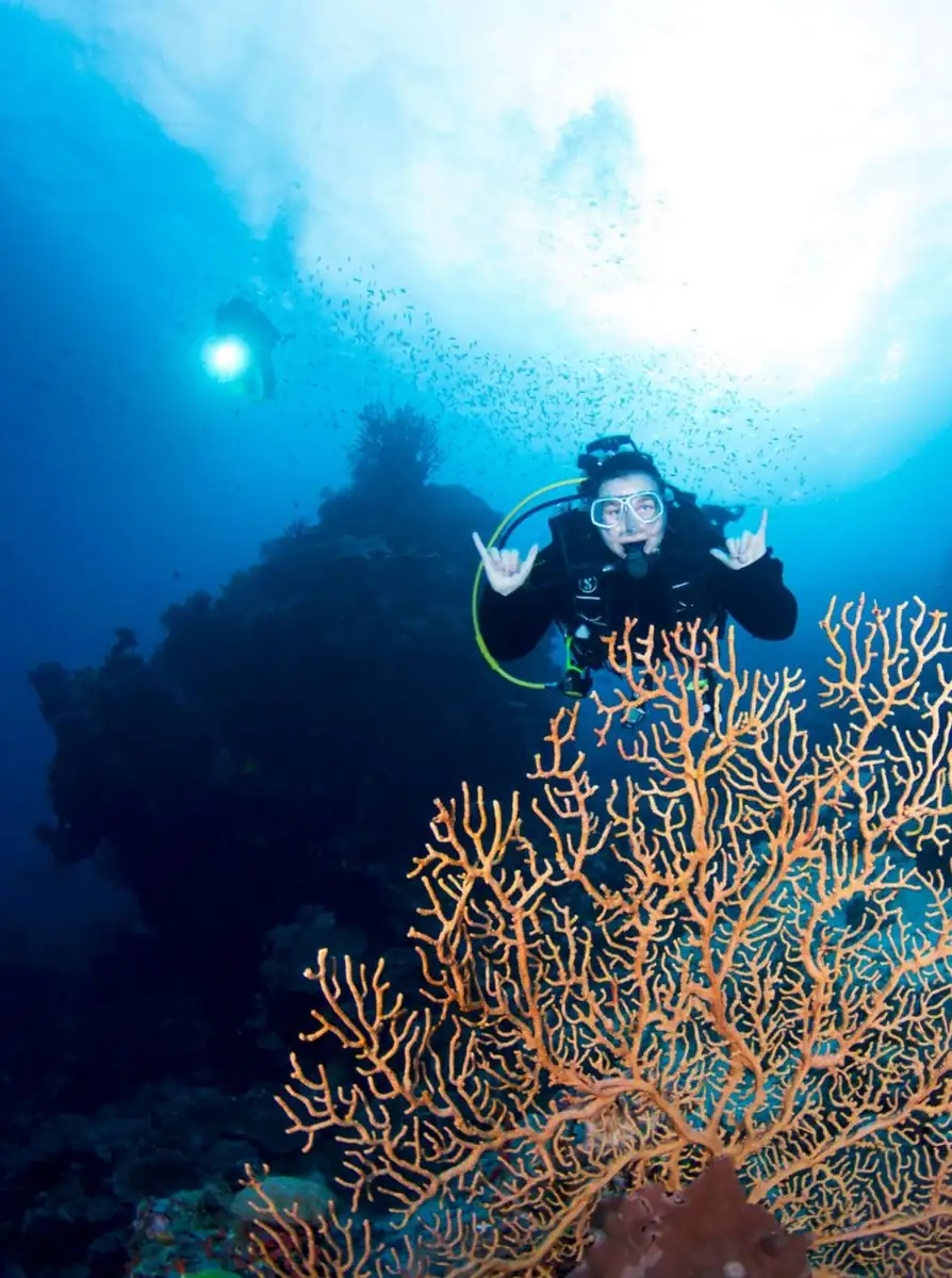 The 24-Hour Scuba Rule: Why You Can’t Fly to Sydney Right After Diving