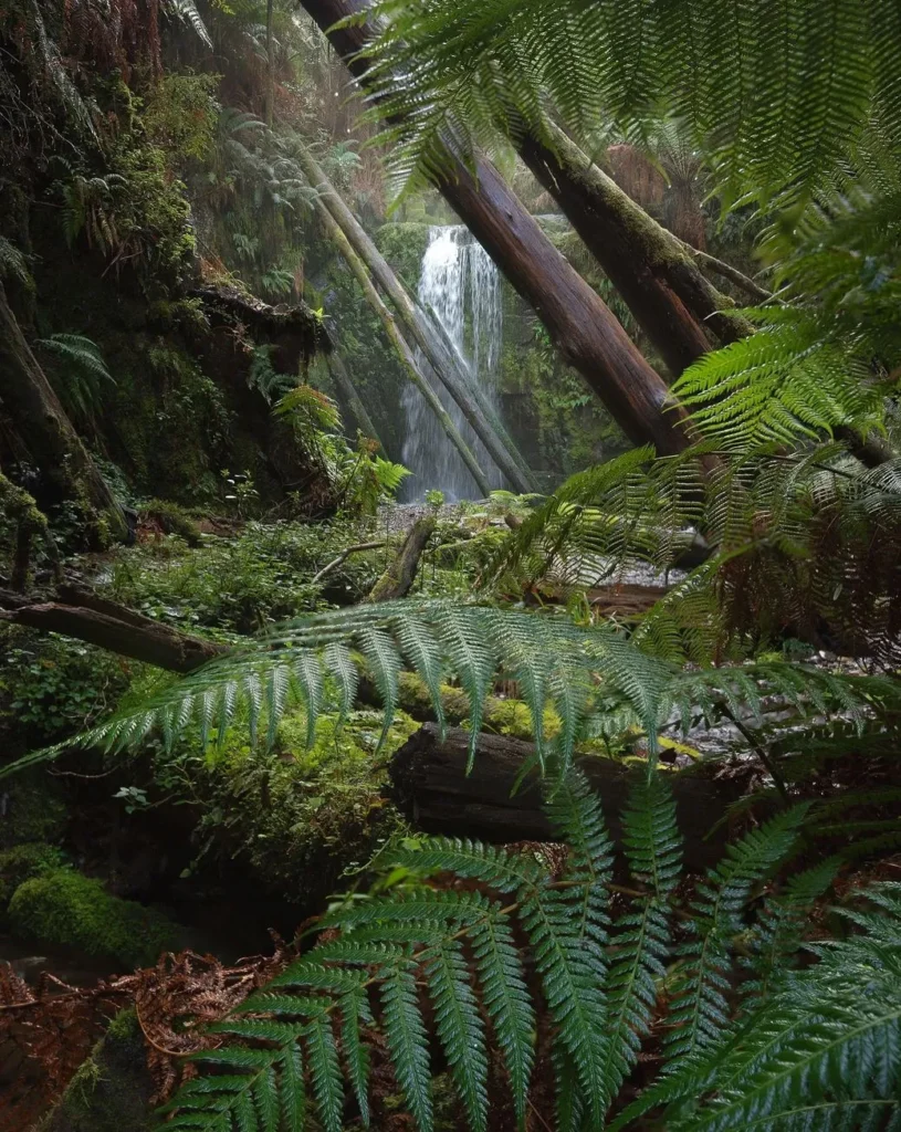 Great Otway