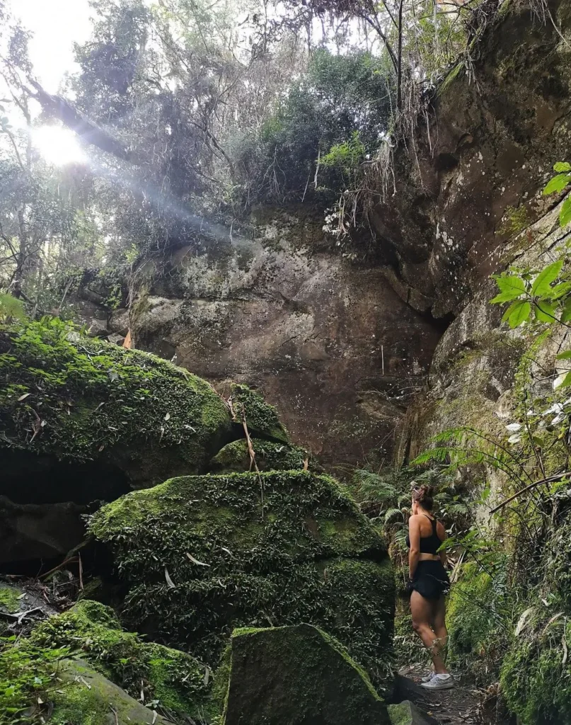 Great Otway National Park