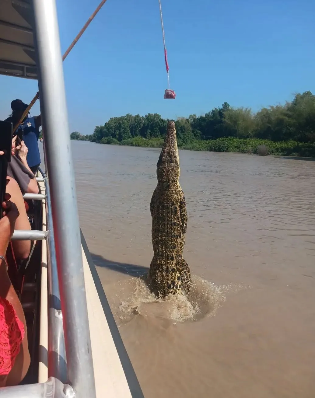 Jumping Crocodile Cruises