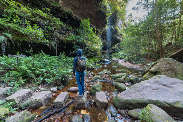 Discover the Enchanting Blue Mountains from Sydney